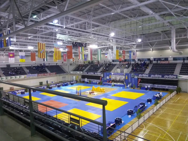 Complejo Deportivo Avilés - Polideportivo en Avilés - foto 3