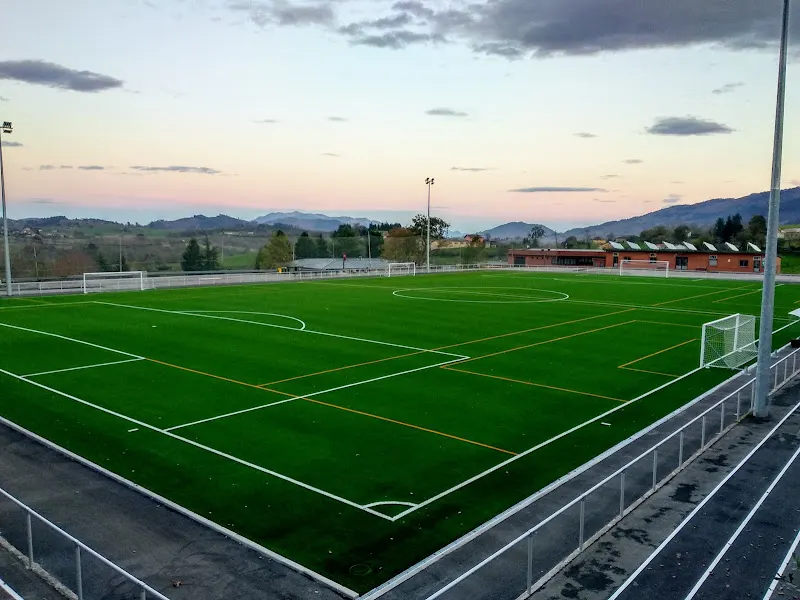 Polideportivo Municipal - Polideportivo en Nava - foto 2