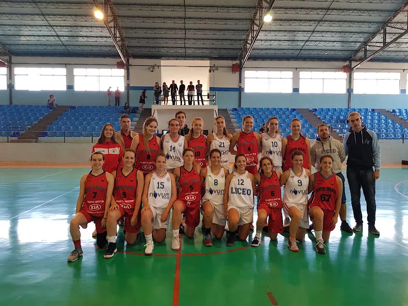 Pabellón Polideportivo Municipal “Príncipe de Asturias” de El Tiemblo. - El Tiemblo