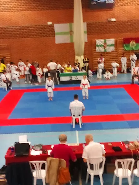 Pabellón Municipal de Deportes - Herrera del Duque