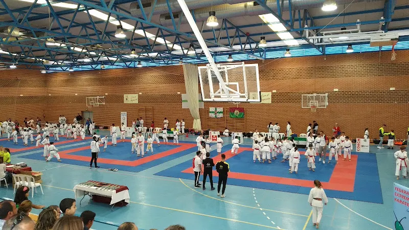 Pabellón Municipal de Deportes - Centro deportivo en Herrera del Duque - foto 2