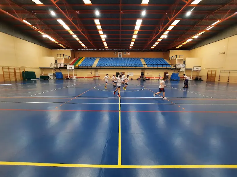 Pabellón Municipal - Polideportivo en Puebla de la Calzada - foto 2