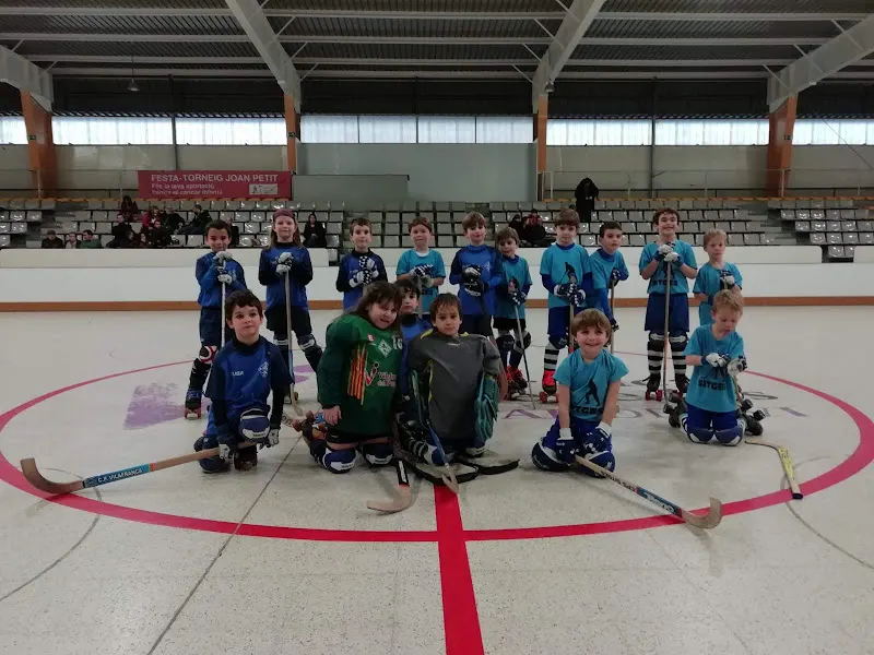 Club Patí Vilafranca - Club deportivo en Vilafranca del Penedes - foto 2