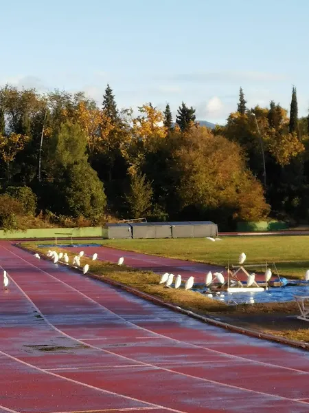 Pabellón Municipal El Tubo