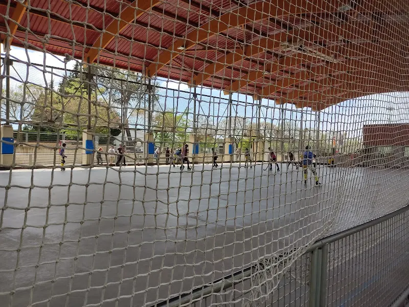 Club Hoquei Les Franqueses (Hoquei patins) - Club deportivo en Garriga (La) - foto 2