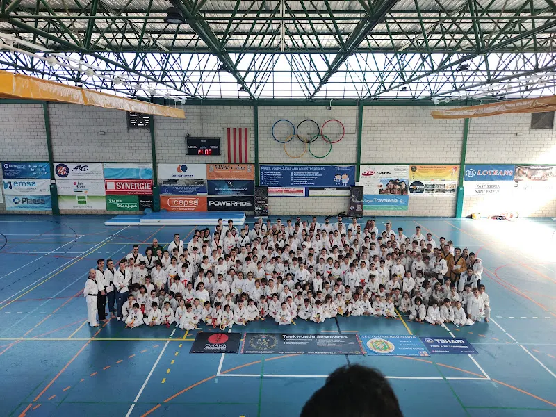 Club de Handbol Sant Esteve - Club deportivo en Sant Esteve Sesrovires - foto 2