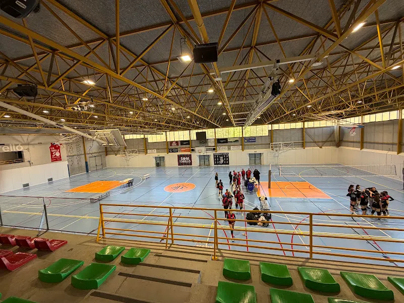 Pavellón Deportivo Municipal - Polideportivo en Torello - foto 3