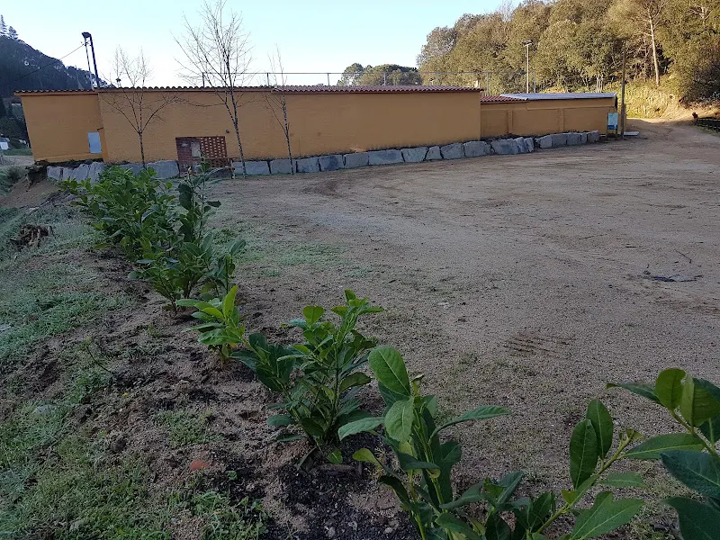 FC Vallgorguina - Vallgorguina