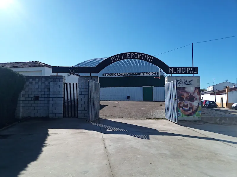 Polideportivo Municipal de Riolobos - Polideportivo en Riolobos - foto 2