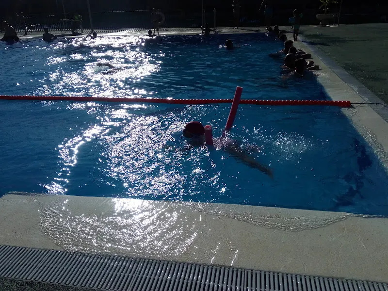 Polideportivo Municipal - Polideportivo en Castellón de la Plana - foto 2