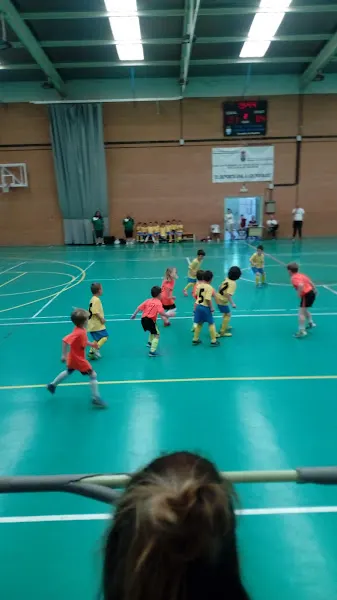 Pabellón Polideportivo Municipal - Torralba de Calatrava