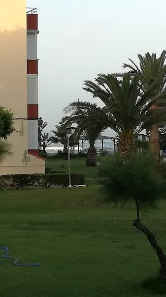 Polideportivo - Polideportivo en Pedro Abad - foto 2
