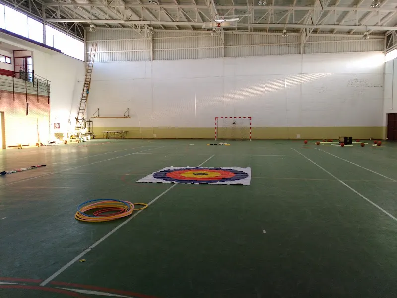Pabellón Polideportivo Municipal de El Provencio. - Polideportivo en Provencio (El) - foto 2
