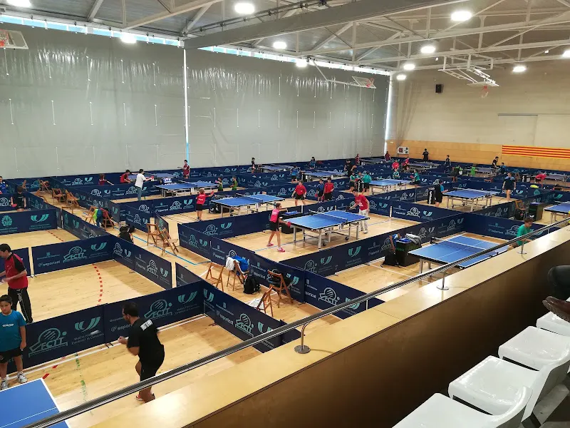Pabellón Municipal de Deportes - Polideportivo en Bascara - foto 2