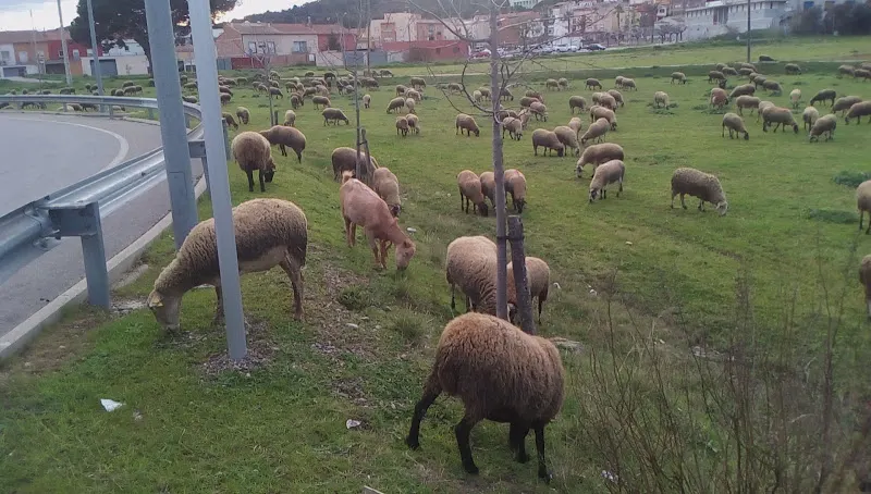 Pabellón Municipal de Deportes de Palamós