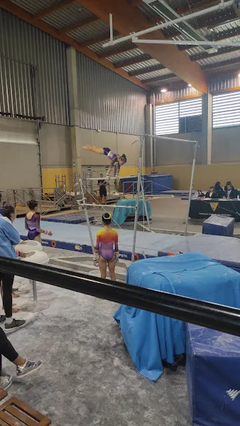 Pabellón Polideportivo Santa Pau - Polideportivo en Santa Pau - foto 2