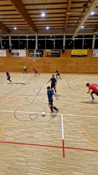 Pabellón Municipal De Sils - Polideportivo en Sils - foto 2