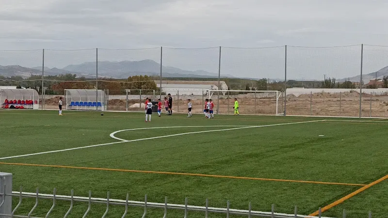 Polideportivo Municipal de Láchar - Polideportivo en Lachar - foto 2