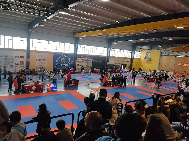 Pabellón Municipal de Deportes "Miguel Ángel Peña" de Loja - Polideportivo en Loja - foto 2