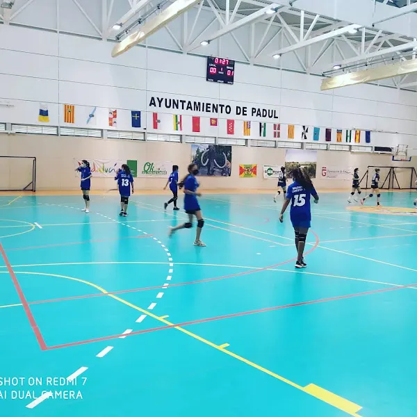 Pabellon Polideportivo Municipal Juan Antonio García Villena “Rudy” - Polideportivo en Padul - foto 2