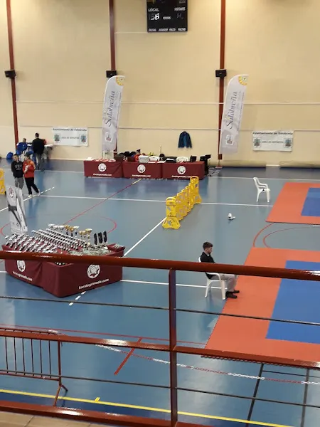 Polideportivo Los Trances - Polideportivo en Salobreña - foto 2