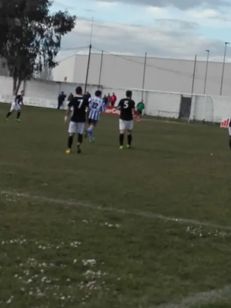 Polideportivo Municipal de Torrejón del Rey - Campo de fútbol en Torrejon del Rey - foto 2