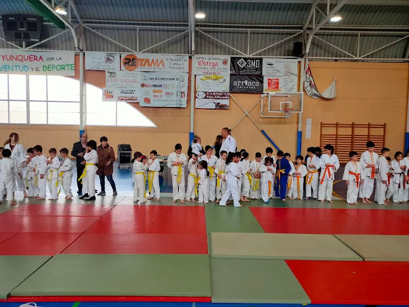 Pabellón Polideportivo José Luis Viejo. - Polideportivo en Yunquera de Henares - foto 2