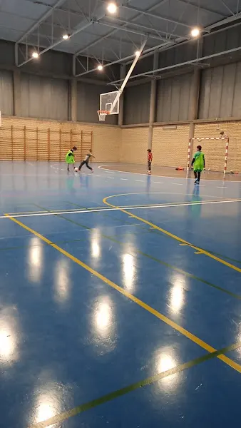 Pabellón Deportivo Municipal Teresa Palacio de Boltaña - Polideportivo en Boltana - foto 2