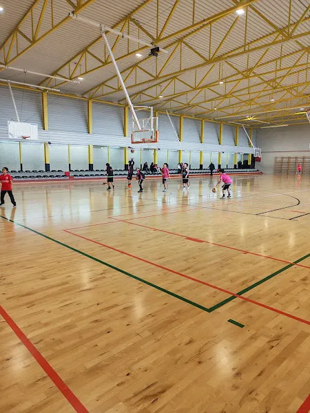 Poliesportiu Municipal de Lloseta - Polideportivo en Lloseta - foto 2