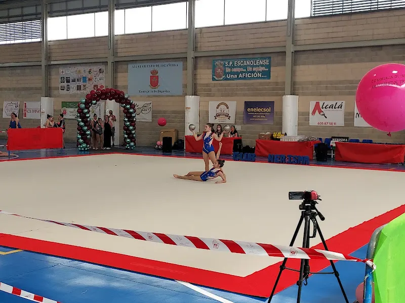Pabellón Municipal de Deportes - Escanuela