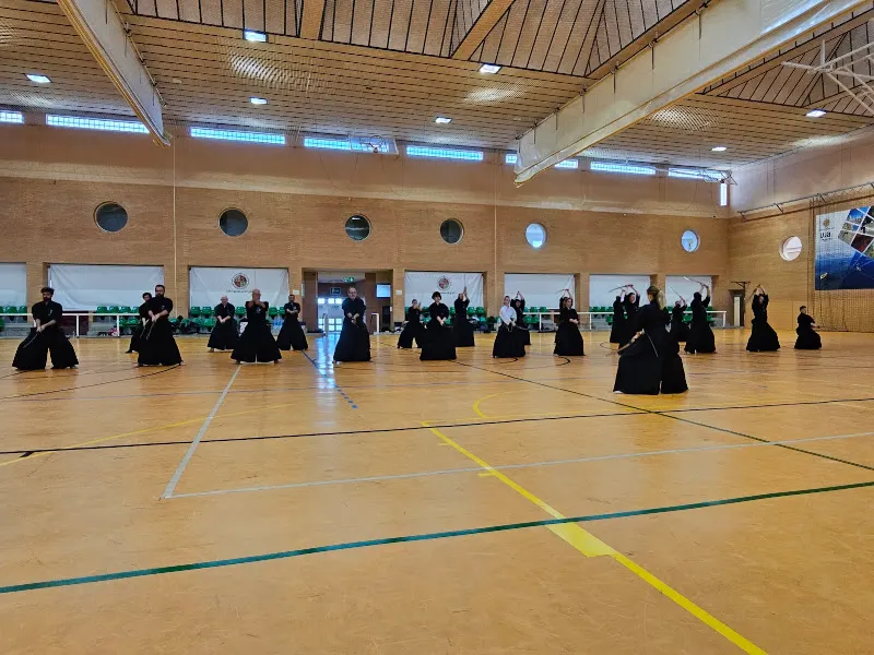 Pabellón Deportivo Universidad de Jaén - Polideportivo en Jaén - foto 2