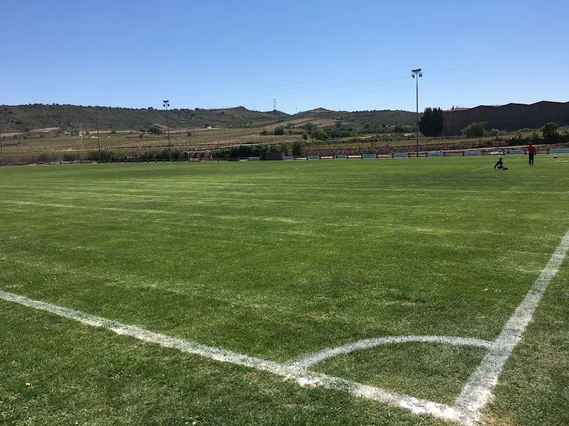 Polideportivo Municipal Las Viñas - Centro deportivo en Cenicero - foto 2