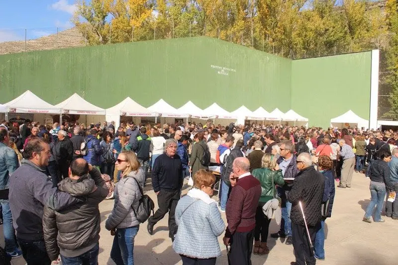 Fronton de Munilla - Polideportivo en Munilla - foto 2