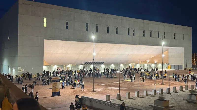 Gran Canaria Arena - Polideportivo en Palmas de Gran Canaria (Las) - foto 2