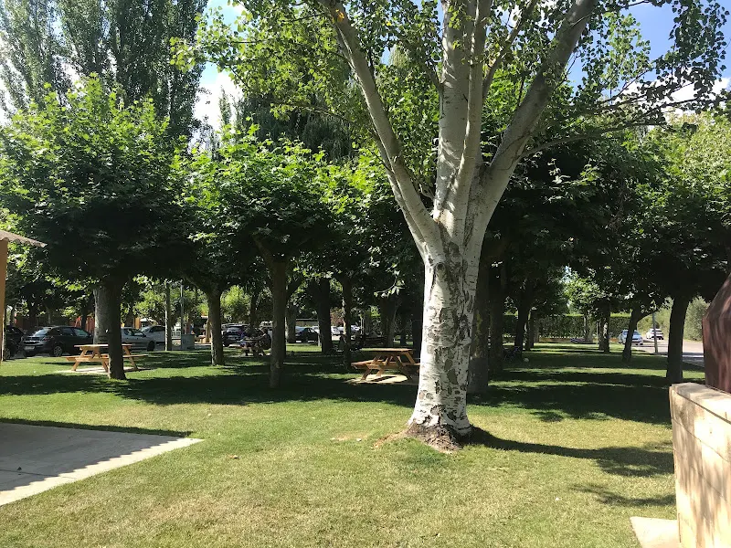 Polideportivo Veguellina - Polideportivo en Villarejo de Orbigo - foto 2