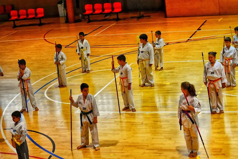Polideportivo Municipal Andreu Aixalà I Castells - Polideportivo en Alcarras - foto 2