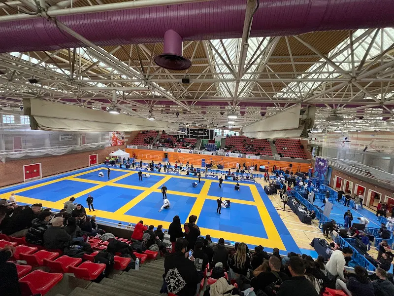 Pabellón Amaya Valdemoro - Polideportivo en Alcobendas - foto 2