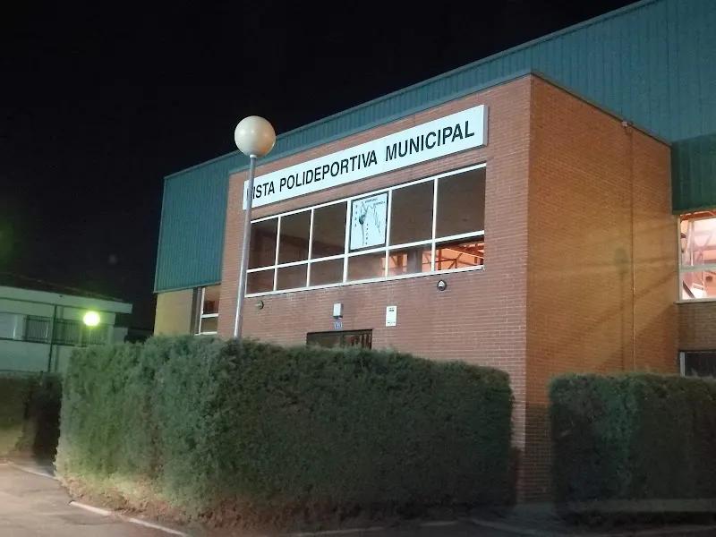 Polideportivo Municipal De Campo Real en Campo Real