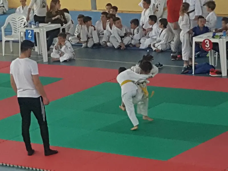 Cubas Sport Club - Club deportivo en Cubas de la Sagra - foto 2