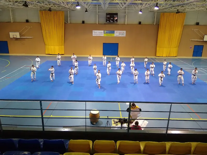 Polideportivo Municipal de Morata de Tajuña - Polideportivo en Morata de Tajuna - foto 2