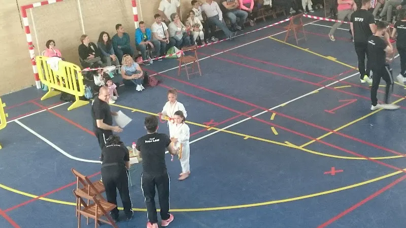 Pabellón Municipal de Nuevo Baztán - Polideportivo en Nuevo Baztan - foto 2