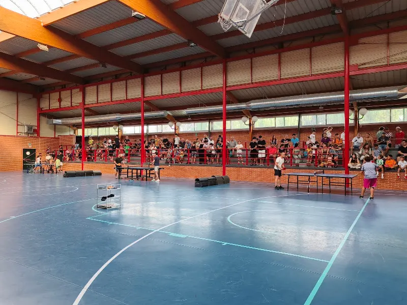 Polideportivo Municipal de Pelayos de la Presa - Polideportivo en Pelayos de la Presa - foto 3