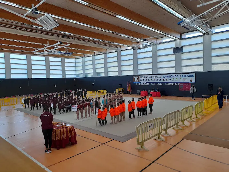 Polideportivo Municipal De Torrejón De La Calzada - Polideportivo en Torrejón de la Calzada - foto 2