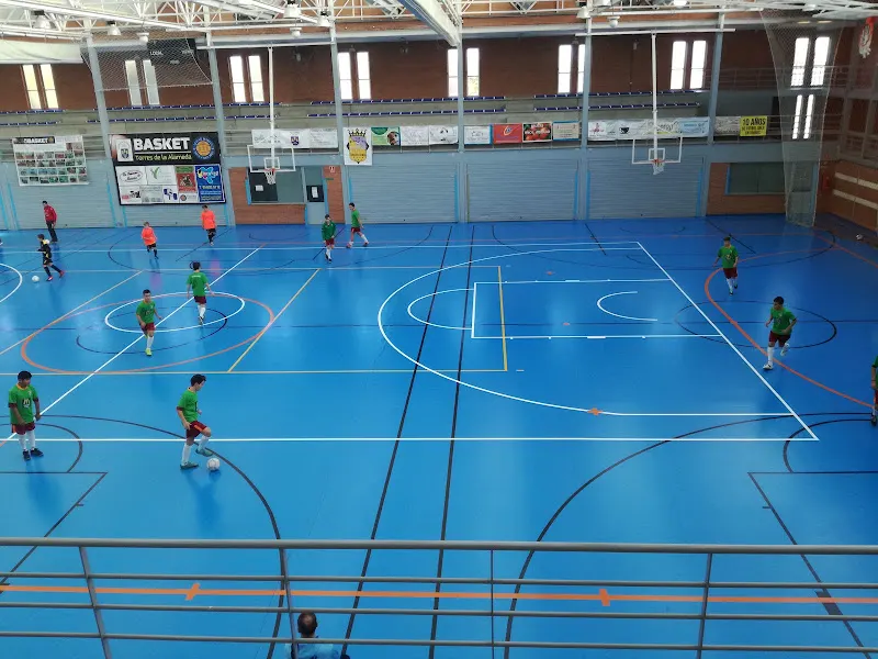 POLIDEPORTIVO MUNICIPAL de Torres de la Alameda. - Torres de la Alameda
