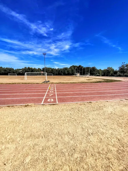 Polideportivo Municipal de Valdemoro - Polideportivo en Valdemoro - foto 2