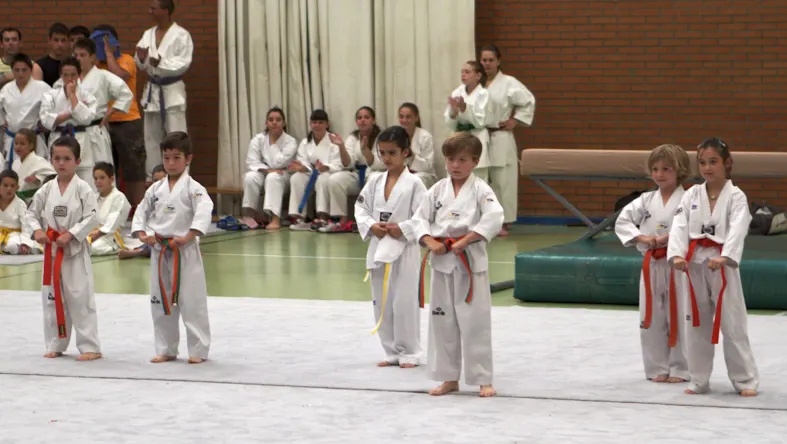 CLUB TAEKWONDO VVA. DEL PARDILLO - Escuela deportiva en Villanueva del Pardillo - foto 2
