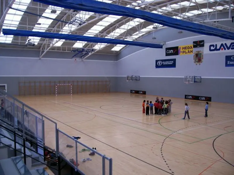 Polideportivo Zelandi - Polideportivo en Altsasu/Alsasua - foto 2