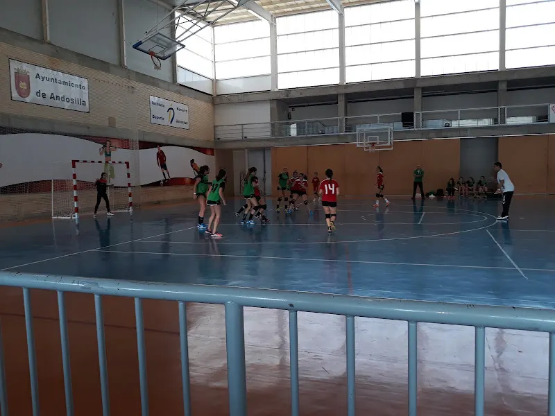 Polideportivo Municipal - Polideportivo en Andosilla - foto 2