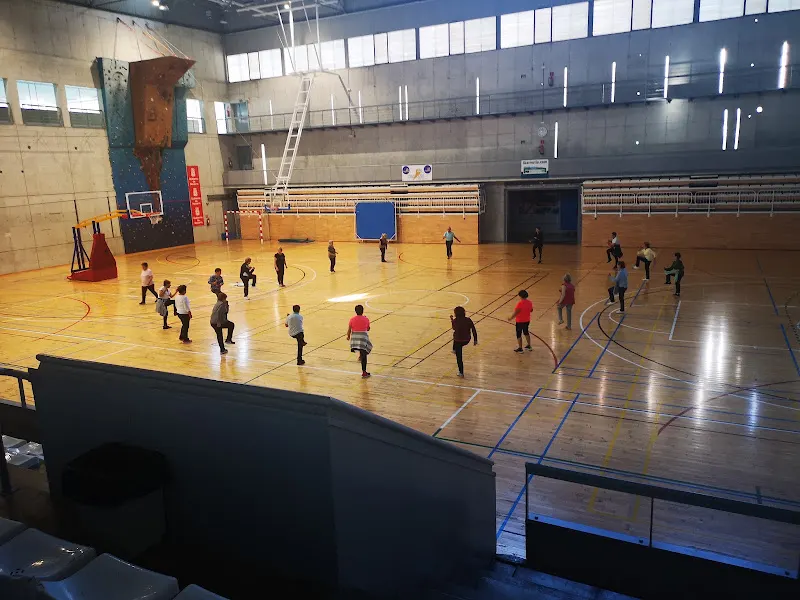Pabellón Deportivo Municipal Tierra Estella "Lizarrerria" - Polideportivo en Estella - foto 2