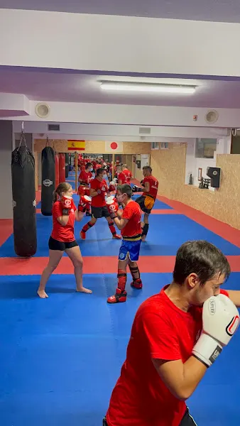 Escuela Deportiva CIPRI GOMES Kickboxing * Karate * Defensa Personal * Boxeo - Escuela deportiva en Xinzo de Limia - foto 2